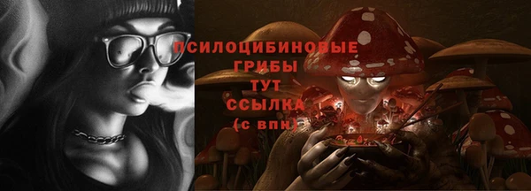 мескалин Покачи