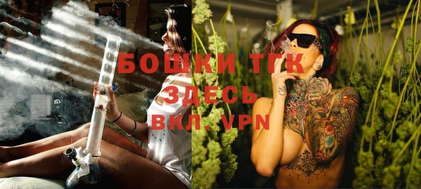 дурь Надым