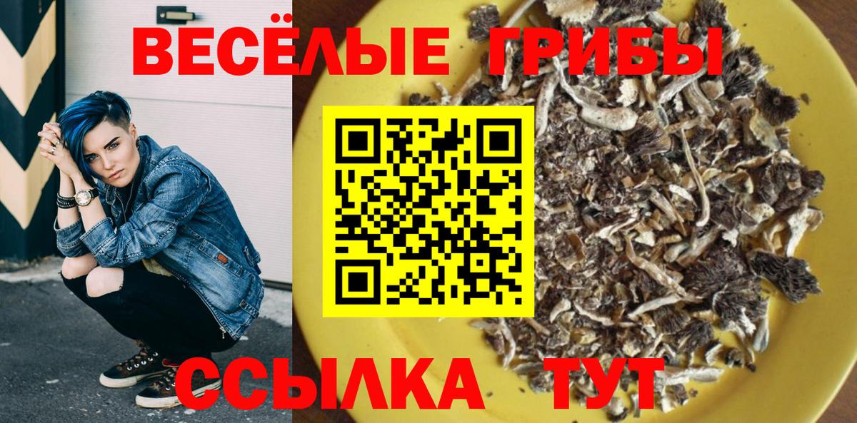 Галлюциногенные грибы MAGIC MUSHROOMS  как найти закладки  Шумерля  Галлюциногенные грибы Psilocybine cubensis 
