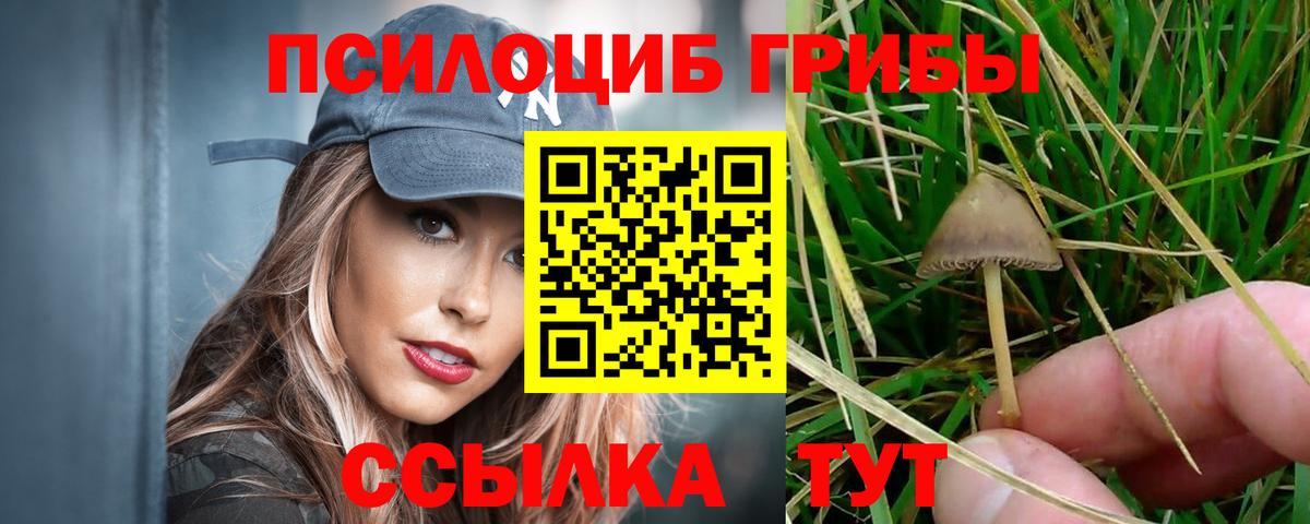Шумерля  Псилоцибиновые грибы Magic Shrooms  Вход с VPN 